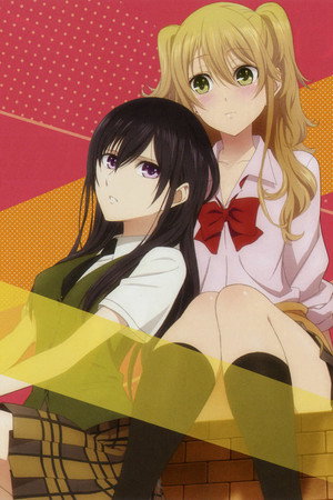 citrus poszter
