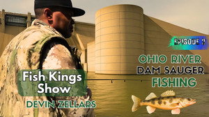 Fish Kings Show kép