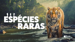The Wild Ones kép