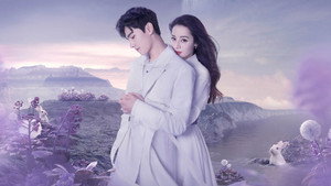 你是我的荣耀 kép