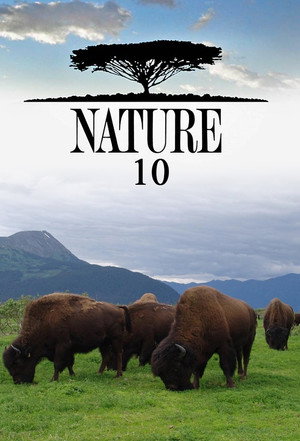 Nature 10. évad (1991-09-28) poszter