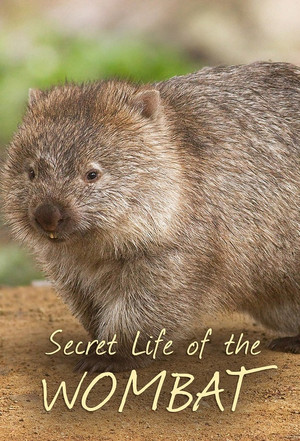 Secret Life of the Wombat 1. évad (2016-08-02) poszter