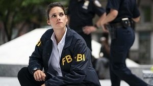FBI: New York különleges ügynökei 1. évad Ep.4 Kereszttűz