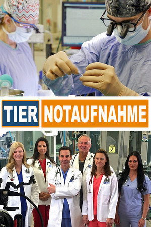 Animal ER poszter
