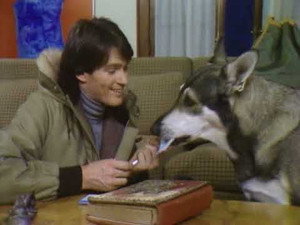 The Littlest Hobo 1. évad Ep.19 19. epizód