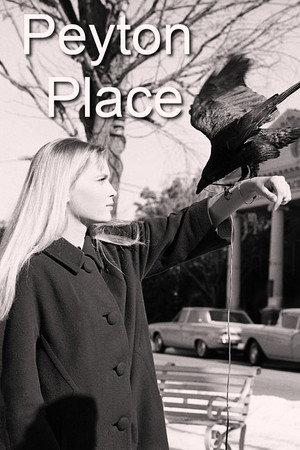 Peyton Place poszter