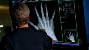 CSI: New York-i helyszínelők 3. évad Ep.19 Bormámor és csótányok