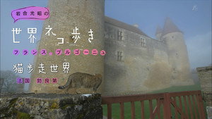 岩合光昭の世界ネコ歩き 1. évad Ep.74 74. epizód