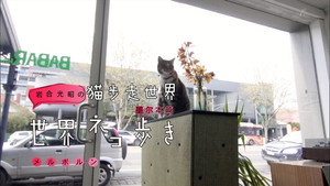 岩合光昭の世界ネコ歩き 1. évad Ep.33 33. epizód
