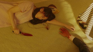 不能犯 kép