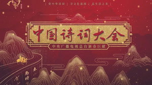 中国诗词大会 kép