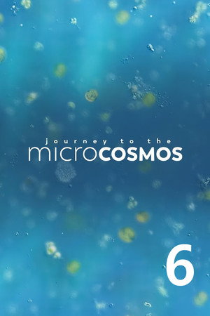 Journey to the Microcosmos 6. évad (2022-03-28) poszter