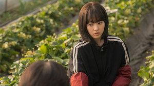 미지의 서울 kép
