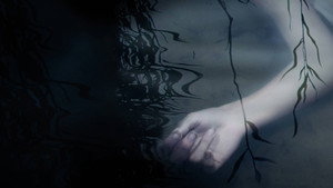 Murder in the Bayou kép