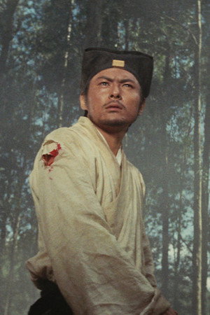 白鹰 profil kép