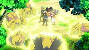 Pokémon 15. évad Ep.14 14. epizód