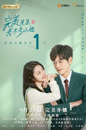 完美先生和差不多小姐 poszter