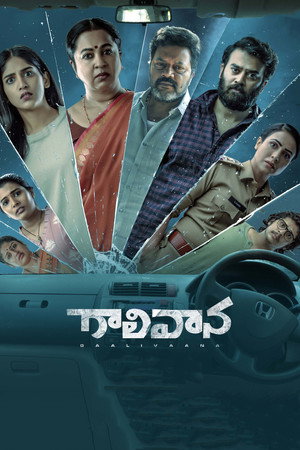 గాలివాన poszter