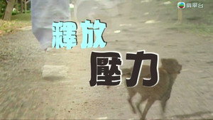 新聞掏寶 2. évad Ep.15 15. epizód