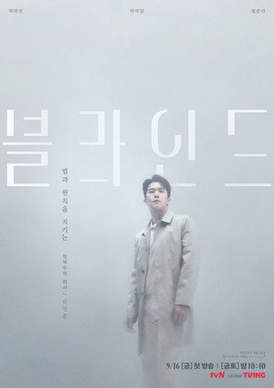 블라인드 poszter