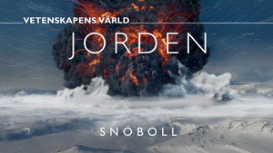 Vetenskapens värld 50. évad Ep.26 26. epizód
