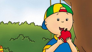 Caillou kép