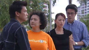 荷兰村 kép