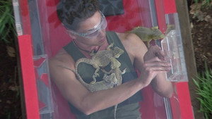 I'm a Celebrity...Get Me Out of Here! 13. évad Ep.1 1. epizód