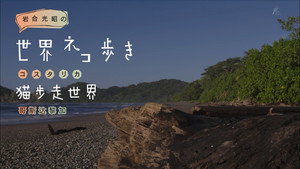 岩合光昭の世界ネコ歩き 1. évad Ep.69 69. epizód