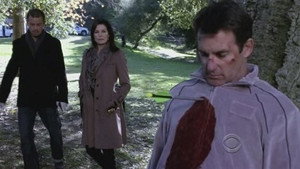 CSI: New York-i helyszínelők 8. évad Ep.13 Hullámhatás