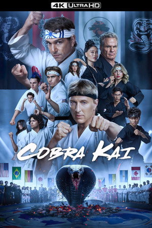 Cobra Kai poszter