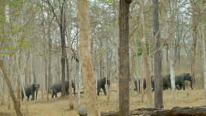 Destination Wild: India kép