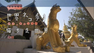 岩合光昭の世界ネコ歩き 1. évad Ep.26 26. epizód