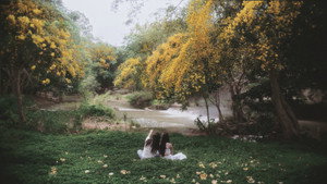 นิทาน ดวงดาว ความรัก kép