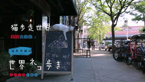 岩合光昭の世界ネコ歩き 1. évad Ep.58 58. epizód