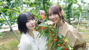 乃木坂、逃避行。 3. évad Ep.2 2. epizód