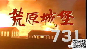 荒原城堡731 kép