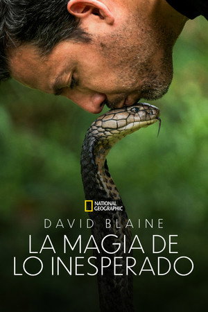 Ezt ne próbáld ki! - Halálos mutatványok David Blaine-nel poszter