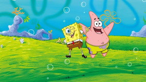 SpongyaBob Kockanadrág kép