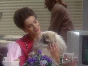 Drop the Dead Donkey 2. évad Ep.3 3. epizód
