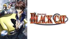 ブラックキャット kép