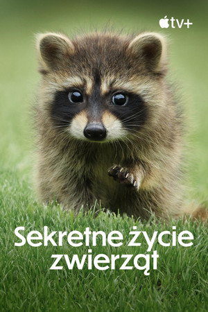Az állatok titkos élete poszter