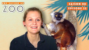 Une saison au zoo 8. évad Ep.22 22. epizód