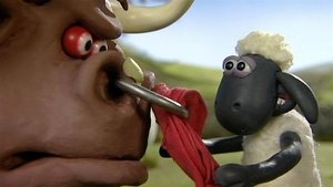 Shaun, a bárány 1. évad Ep.9 9. epizód
