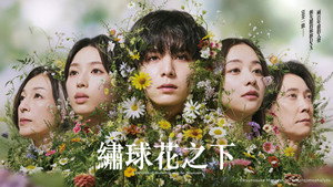 一次元の挿し木 kép