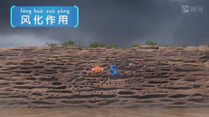 斑马百科 22. évad Ep.2 2. epizód