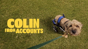 Colin, a könyvelésről kép