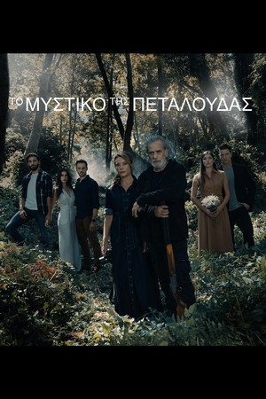 Το Μυστικό της Πεταλούδας poszter