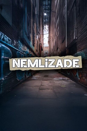 Nemlizade poszter