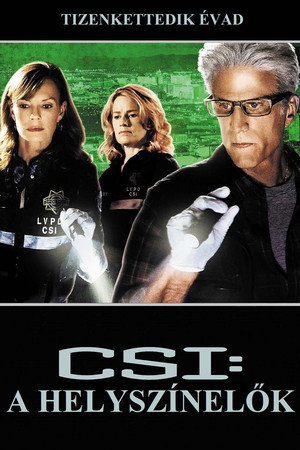 CSI: A helyszínelők 12. évad (2011-09-21) poszter